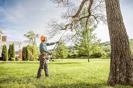 Lawn Renovation and Restoration in Roebuck, SC
